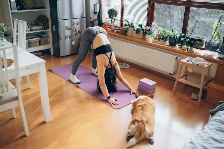 Chair Downward Dog